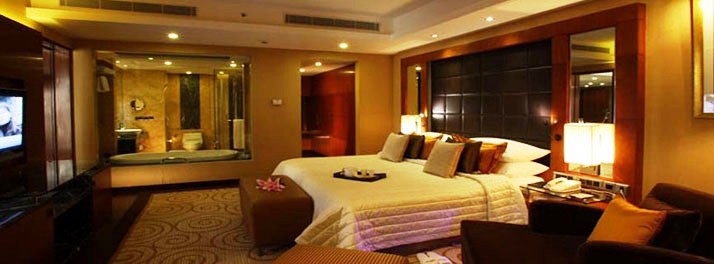 428/Radisson Blu Plaza - New Delhi 12.jpg